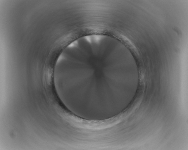 X0000111020026200907171904