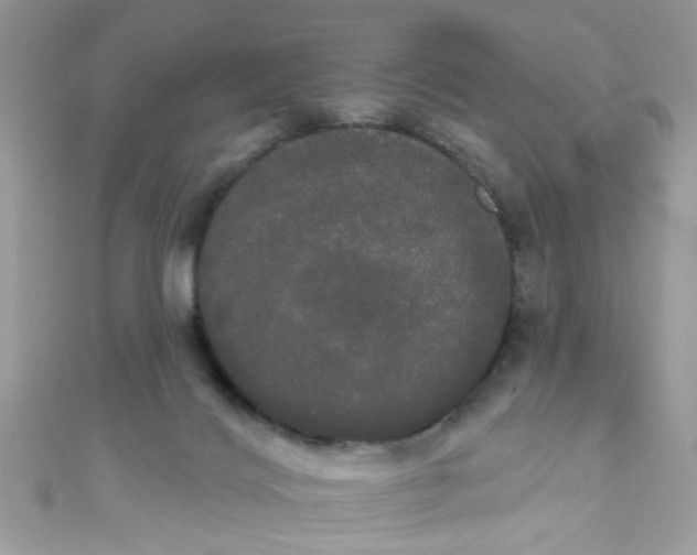X0000111020028200907171904