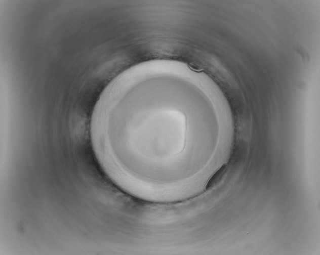 X0000111020029200907171904