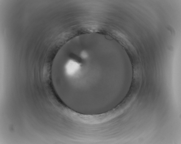 X0000111020030200907171904