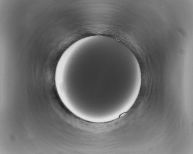 X0000111020031200907171904