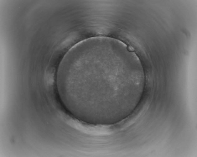 X0000111020032200907171904