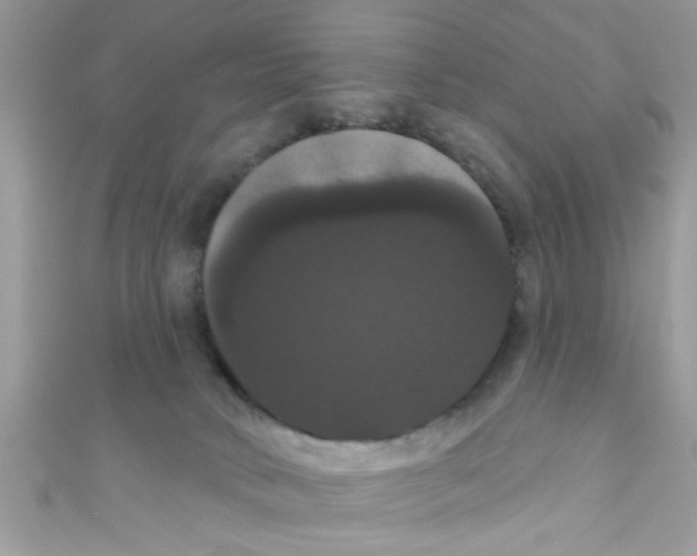X0000111020034200907171904