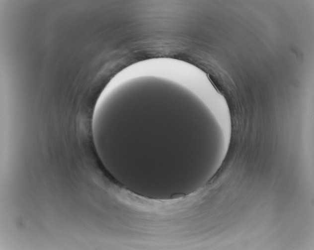 X0000111020035200907171904