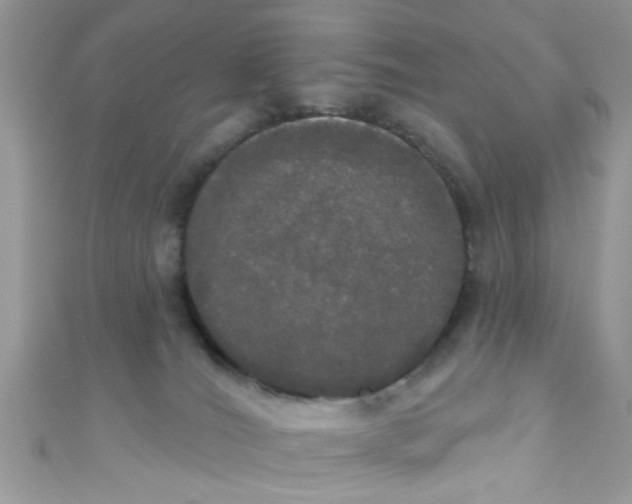 X0000111020036200907171904