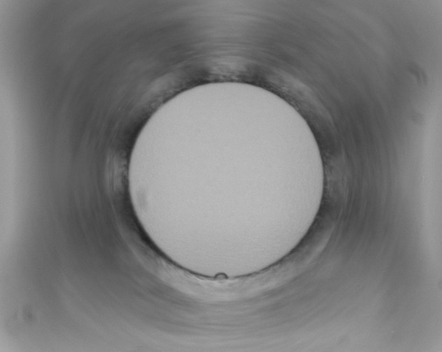X0000111020038200907171904
