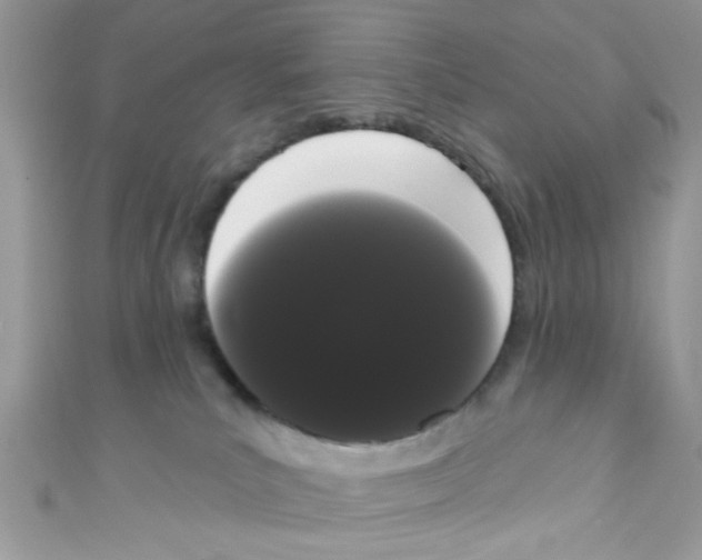 X0000111020039200907171904
