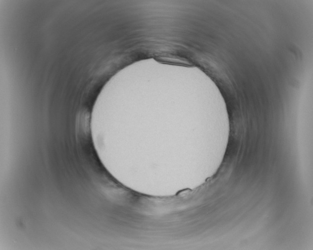 X0000111020041200907171904