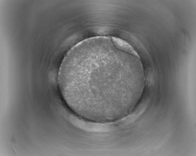 X0000111020044200907171904