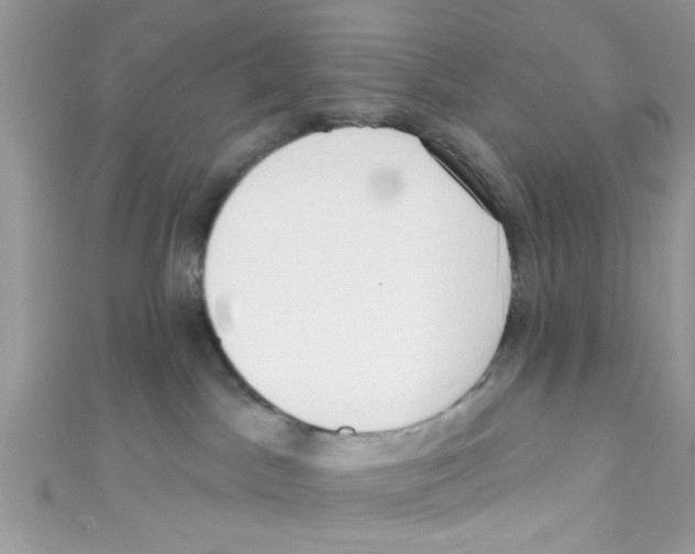 X0000111020045200907171904