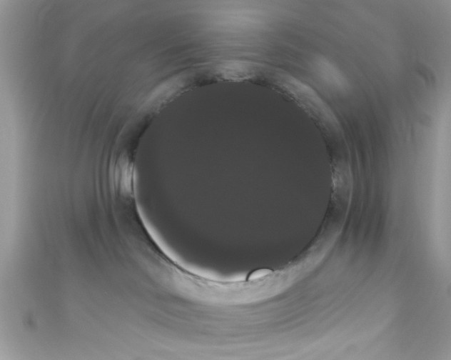 X0000111020046200907171904