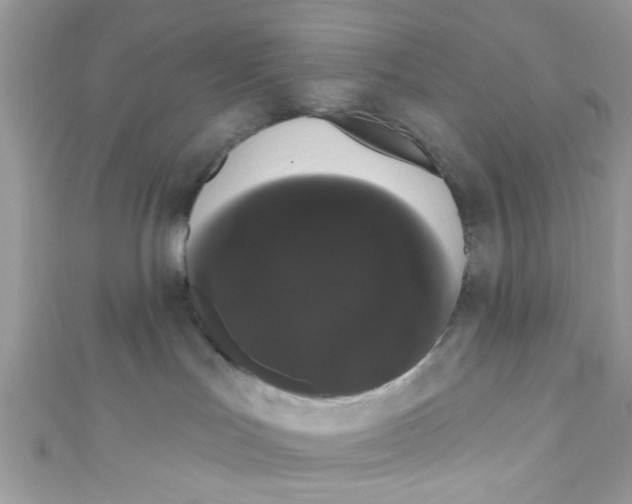 X0000111020047200907171904