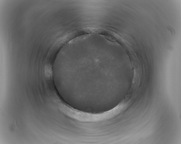 X0000111020048200907171904