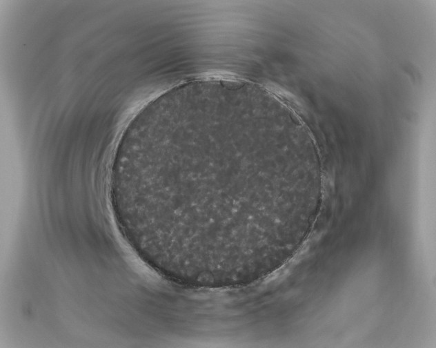 X0000111020049200907171903