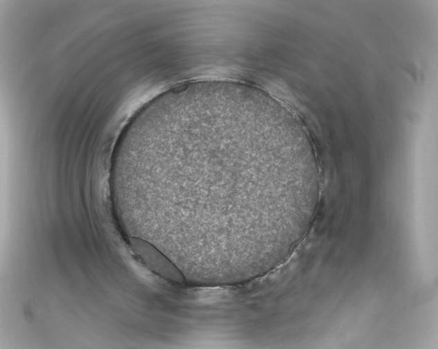 X0000111020050200907171903