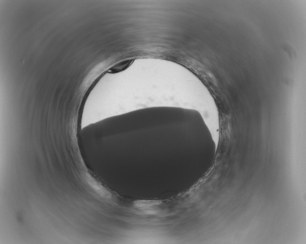 X0000111020051200907171903