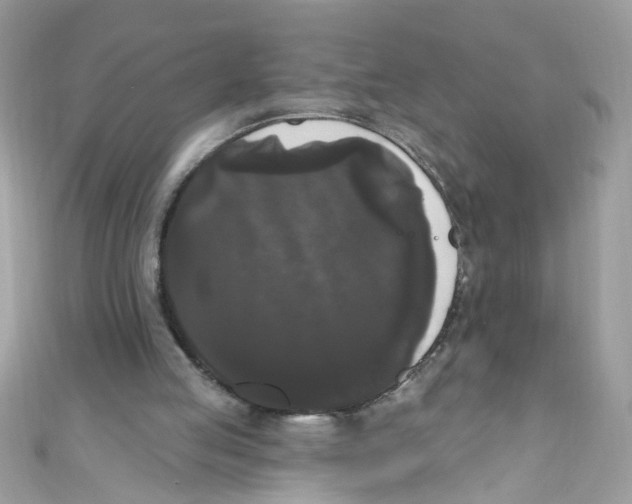 X0000111020053200907171903