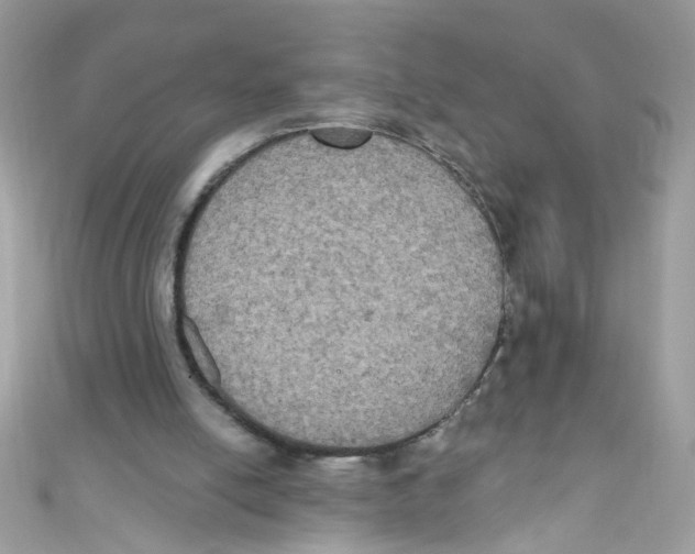 X0000111020054200907171903