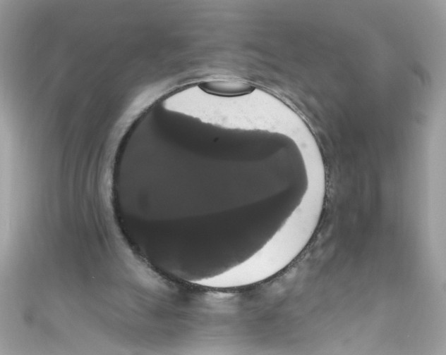 X0000111020055200907171903
