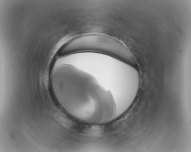 X0000111020056200907171903