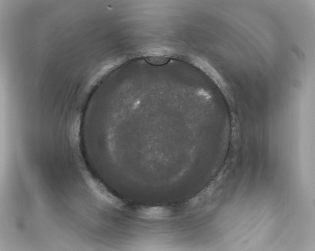 X0000111020058200907171903