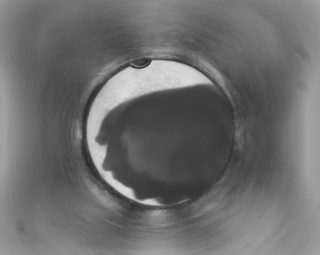 X0000111020059200907171903