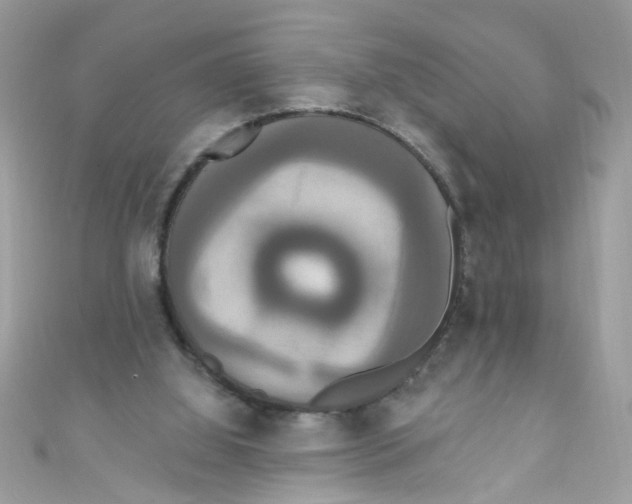 X0000111020060200907171904