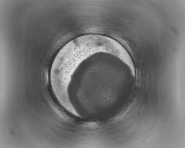 X0000111020061200907171904