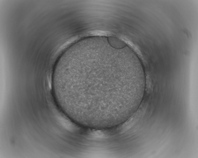 X0000111020062200907171904