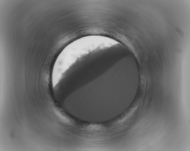 X0000111020063200907171904