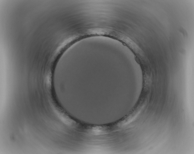 X0000111020064200907171904