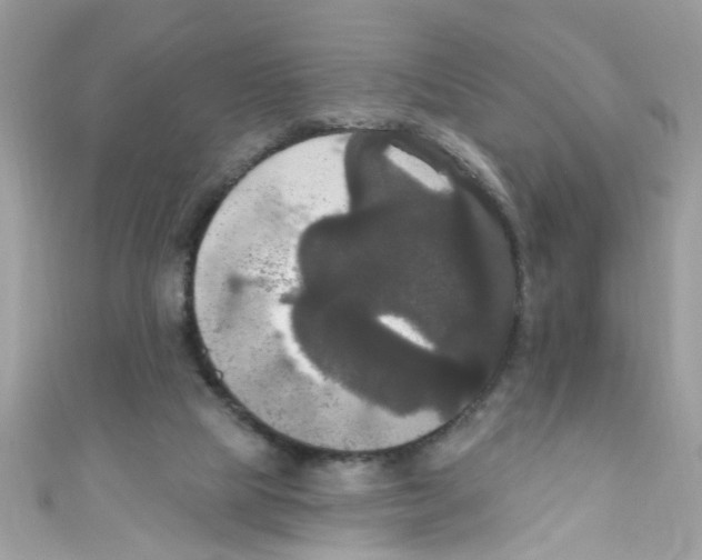 X0000111020065200907171904