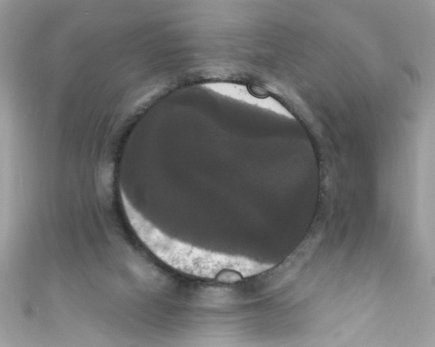 X0000111020066200907171904