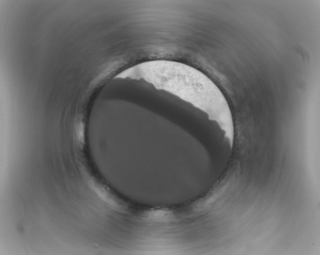 X0000111020067200907171904