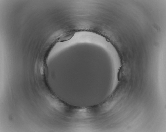 X0000111020068200907171904