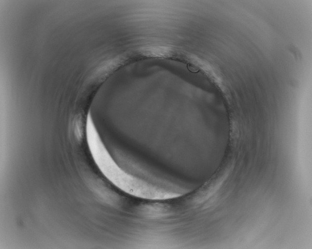 X0000111020069200907171904