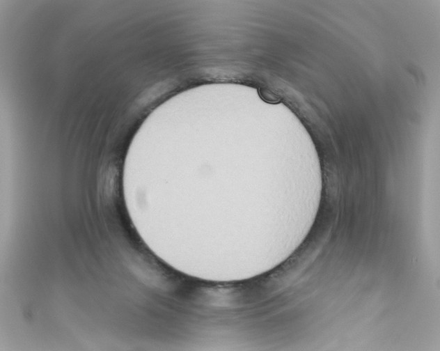 X0000111020071200907171904
