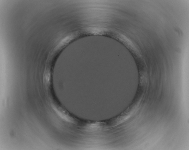 X0000111020072200907171904