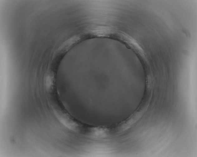 X0000111020073200907171904