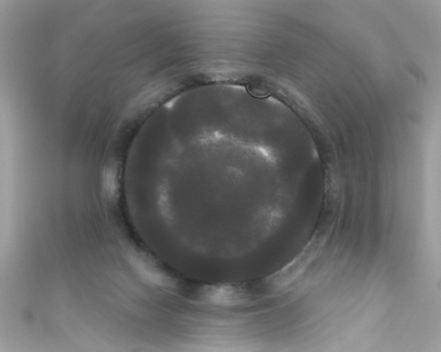X0000111020074200907171904