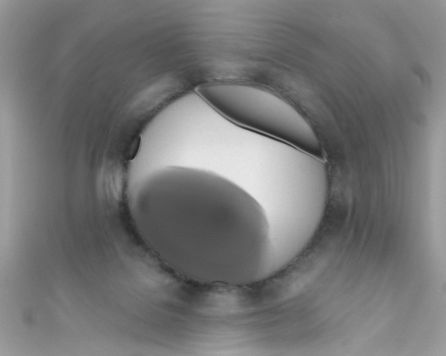 X0000111020076200907171904
