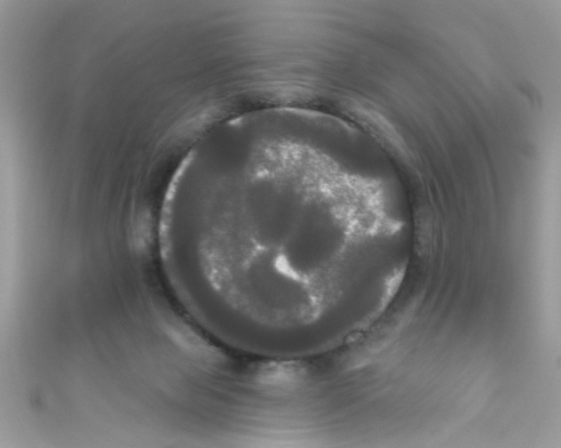 X0000111020077200907171904