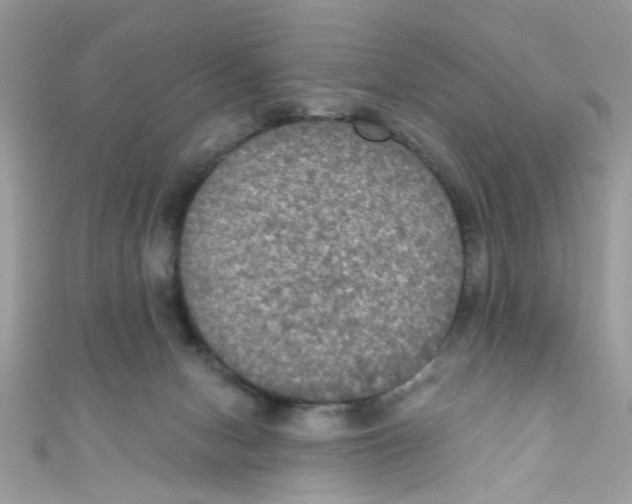 X0000111020078200907171904