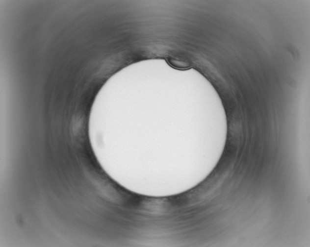 X0000111020079200907171904