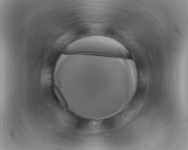 X0000111020080200907171904