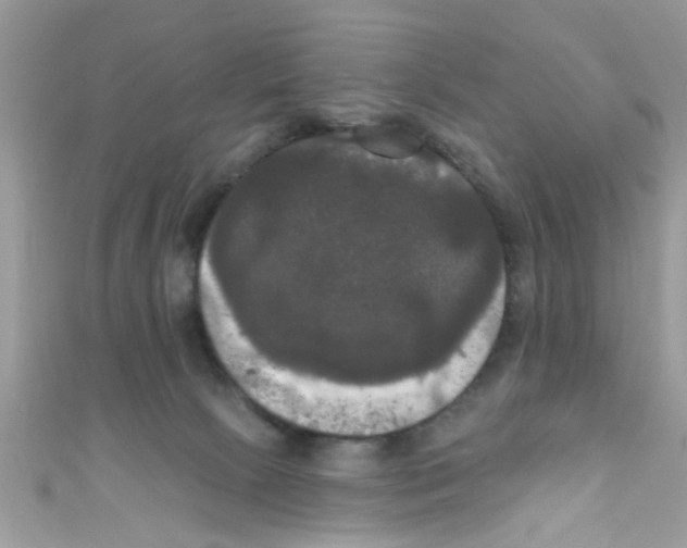 X0000111020081200907171904
