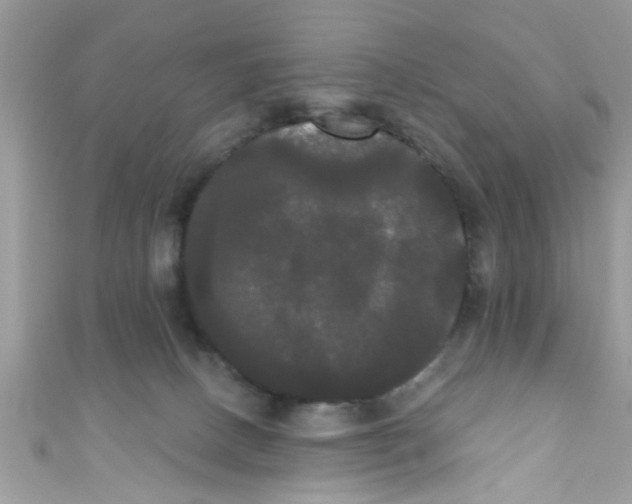 X0000111020082200907171904