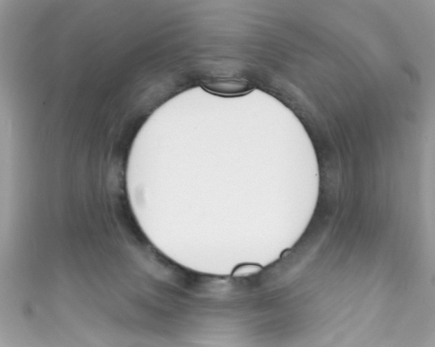 X0000111020083200907171904