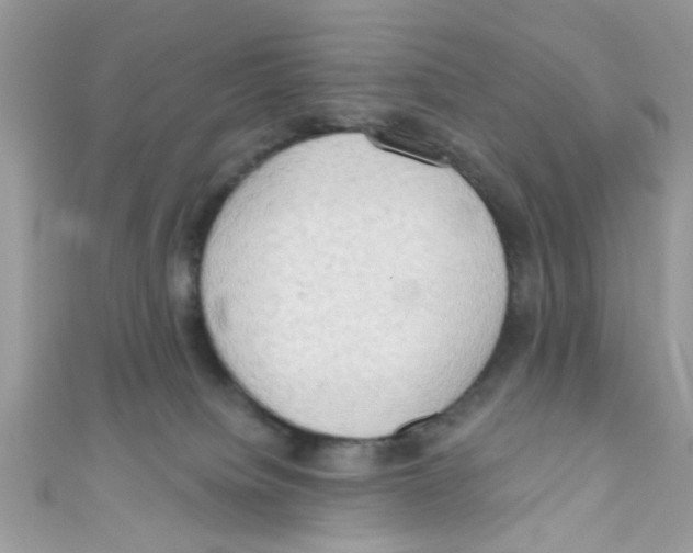 X0000111020084200907171904