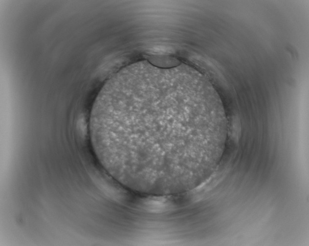 X0000111020086200907171904